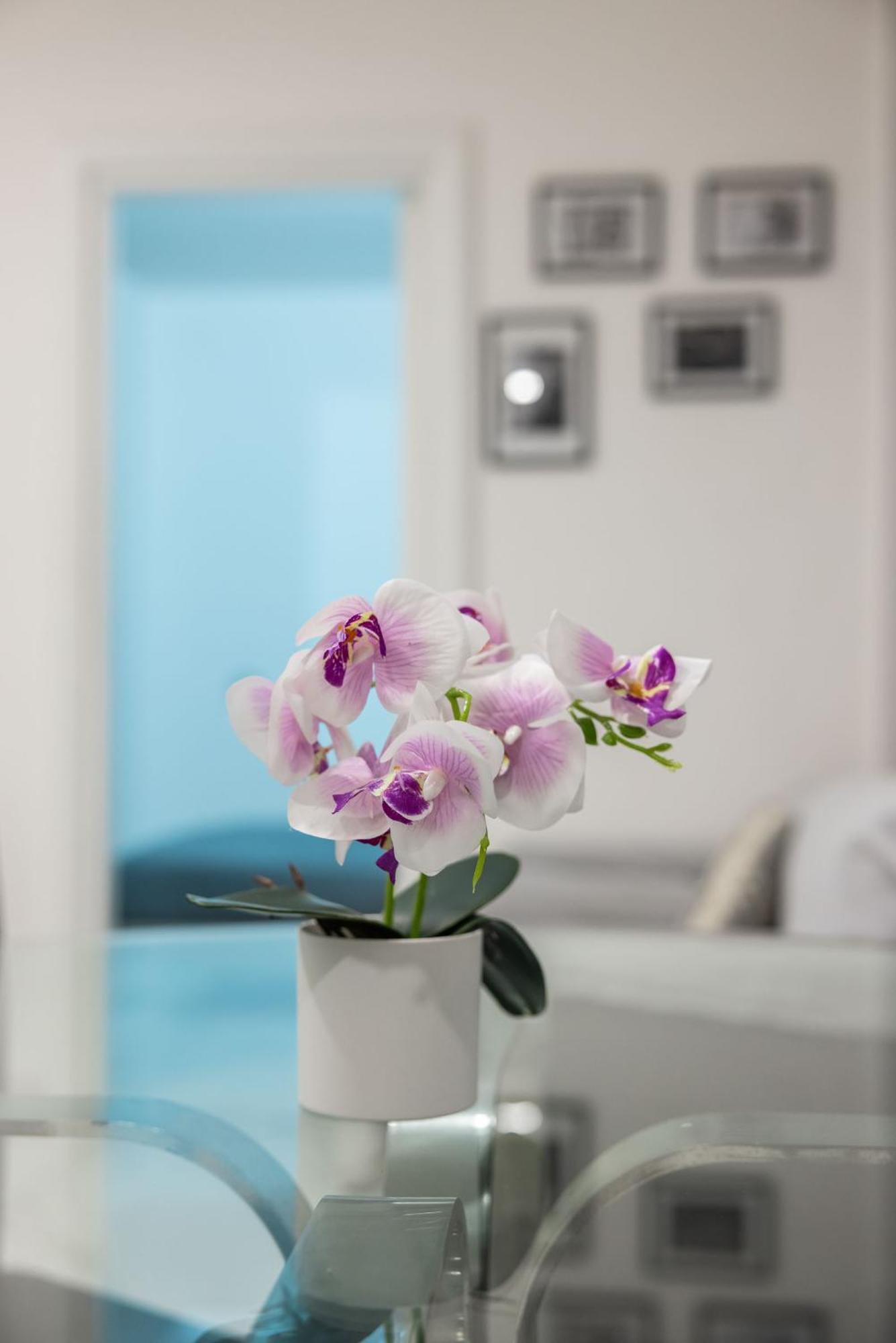 Chic House Apartment Bari Luaran gambar
